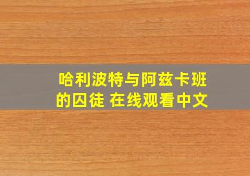 哈利波特与阿兹卡班的囚徒 在线观看中文